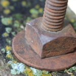 photo of a rusty nail, bolt, wood and lichen