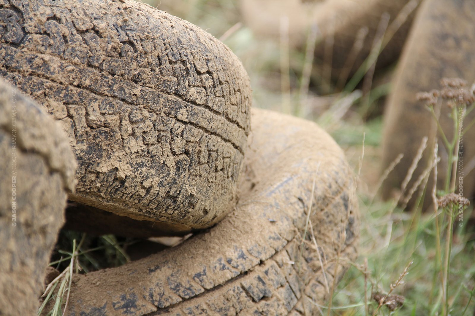 photo of dirty old tires in a field